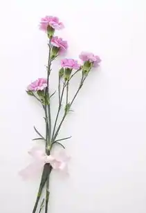  感恩教师节老师,您辛苦了