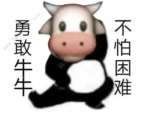 套路表情包一套猪抖音