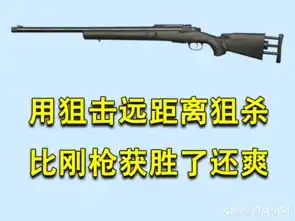  和平精英喜欢sks是青铜,爱上vss是星钻,迷恋它的才是王牌