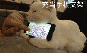  gif搞笑趣图姑娘,你这是怎么了是不是喝醉了啊
