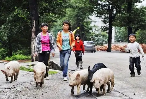  渐渐老去的60后,还记得那遥远,简单而快乐的童年吗