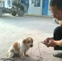  搞笑图片大师也是抵挡不住人间的诱惑呀