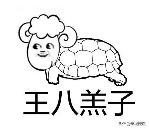 最搞笑的名字你听过的最搞笑的名字是什么  最搞笑的名字你听过的最搞笑的名字是什么