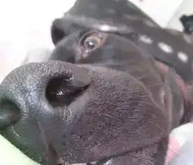 真实图片搞笑真实