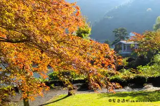 富士山下吃喝玩乐一日游线路推荐  富士山下吃喝玩乐一日游线路推荐
