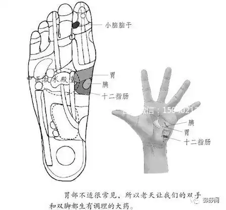  一些不吃药的中医自然疗法