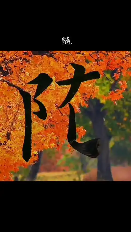  就让往事随风书法落叶知秋