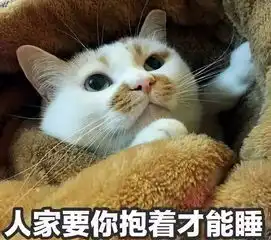 一看他发的表情包,就知道是个高级渣男
