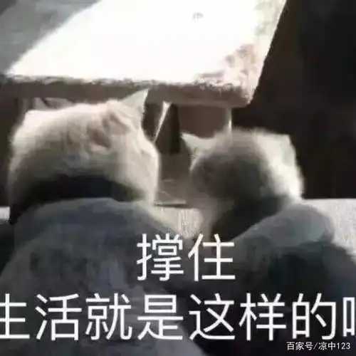  最新教育部公布全国研究生报录比看完淘汰人数,有点慌