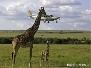  甜蜜娱乐10张看似不真实且被怀疑ps过的照片但它们的确都是真实的