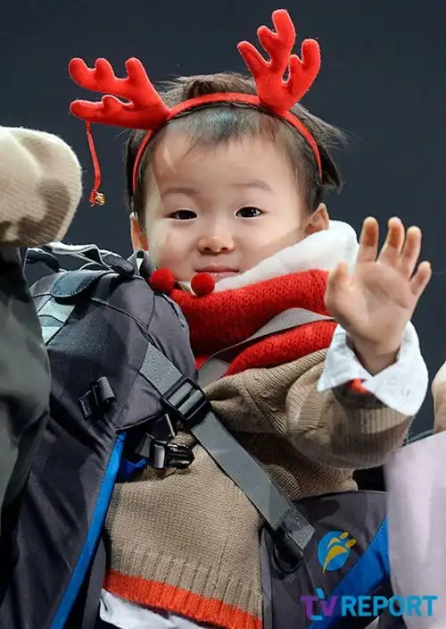 民国鹿  民国鹿