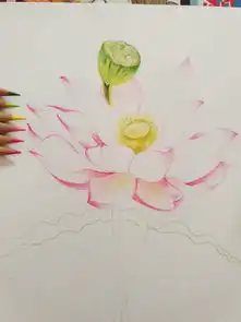  彩铅荷带步骤图