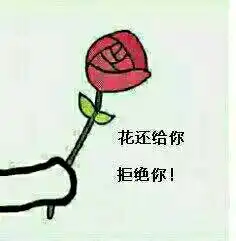  花还给你拒绝你表情包