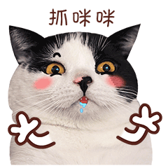  真猫版麦粒酥表情包下载真猫版麦粒酥表情包官方下载