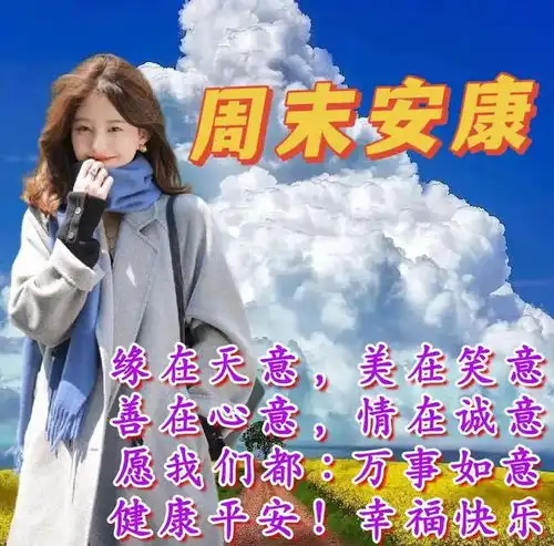  2024年8月25日周日精选早安祝福图片,雨过菊花香,又感秋风凉早安祝福美图分享给您网易订阅