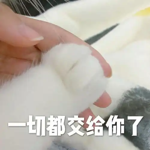  斗图表情包合集谢谢,姐不需要