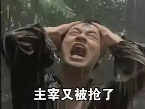 表情包打王者荣耀时候的我
