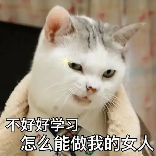  大郎,起床喝药啦丨第109期表情包