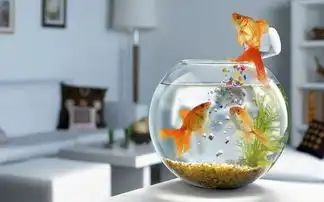  愿我惦念之人岁岁平安,即使生生不见