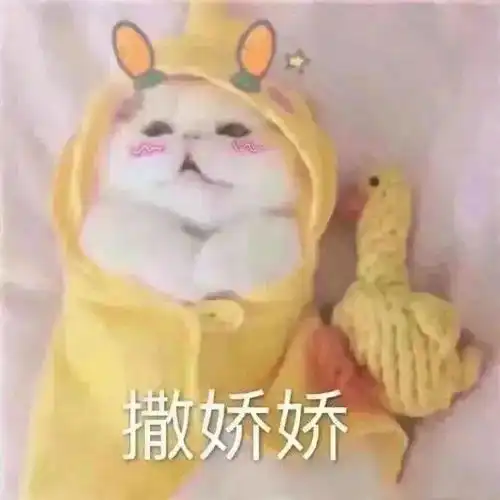  100个沙雕有趣的搞笑表情包