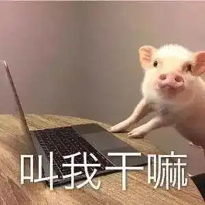  青年说今晚,你在哪里看圆月