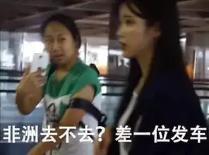  虹桥一姐真火了,大半夜笑死了我魔性表情包
