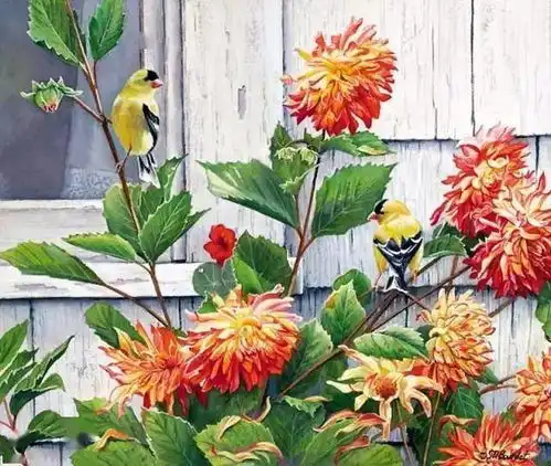  超写实水彩画家的四季花鸟水彩画,美醉了