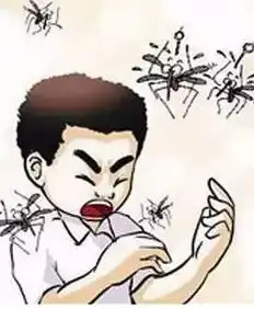 健康科普丨被蚊子咬了会感染登革热预防登革热看过来  健康科普丨被蚊子咬了会感染登革热预防登革热看过来