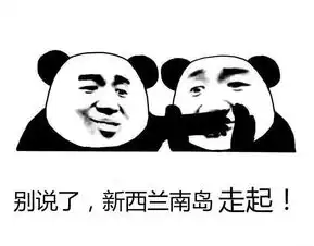  快上船你的新西兰专属游轮即将起航