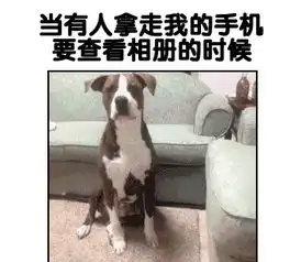  萌宠瞬间神配文醉醉哒,莫名觉得膝盖好疼