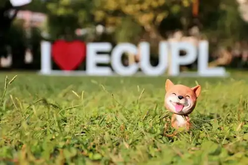 摄影携萌犬祝华东政法大学生日快乐  摄影携萌犬祝华东政法大学生日快乐