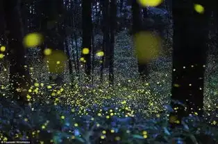  曼芭安帕瓦六日游特别安排安帕瓦水上市场夜访萤火虫升级2晚芭堤雅五星泳池酒店