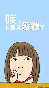  双11搞笑段子