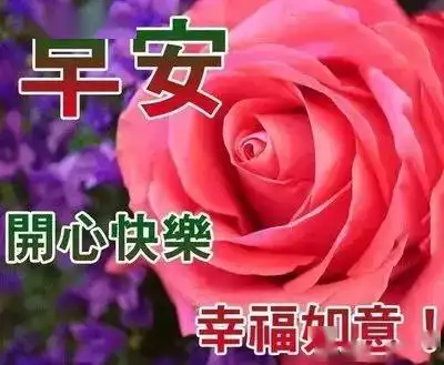  最新早上好问候图片星期四早上好图片带字2020