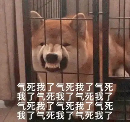  校园里的小乐趣