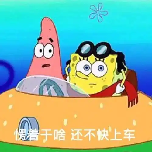  一天学几小时才能上岸看看你落后于大部队了吗