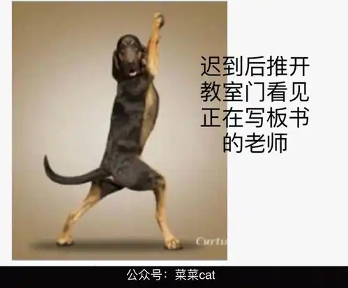 搞笑图片人间真实,第不知道多少弹了哈哈哈哈哈哈哈哈哈哈  搞笑图片人间真实,第不知道多少弹了哈哈哈哈哈哈哈哈哈哈