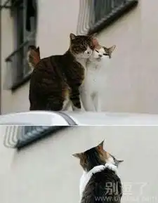 最新幽默笑话大全,搞笑段子大全,搞笑动态图片大全第13933页别逗了笑话网  最新幽默笑话大全,搞笑段子大全,搞笑动态图片大全第13933页别逗了笑话网