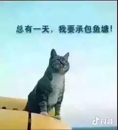  a股虚情假意的反抗,不如躺在地上等死