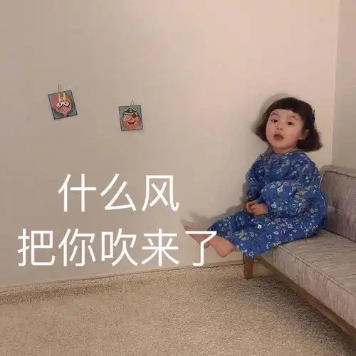  自考热门的简单专业有哪些