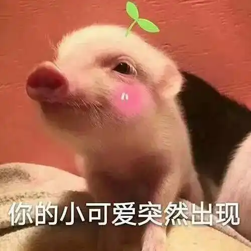  李荣浩老师请注意,女孩心思你别猜,爱他的理由简简单单也足够
