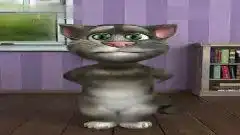  咆哮tom猫之六一快乐6月1日