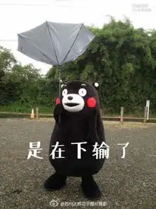  堆糖,美好生活研究所