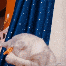  搞笑gif段子深夜一女子喝的酩酊大醉