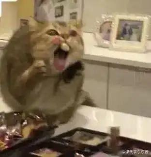 gif爆笑图片这手机支架想要吗以后还玩什么手机玩支架就够了  gif爆笑图片这手机支架想要吗以后还玩什么手机玩支架就够了