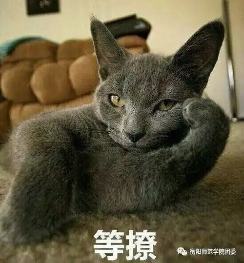  专属于衡师人的冬季悲歌