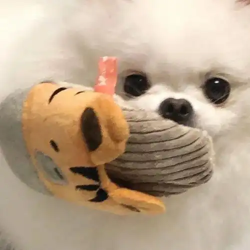  沙雕搞笑头像