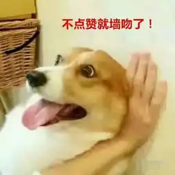  每日一笑,不许你亲我的人,改亲我吧