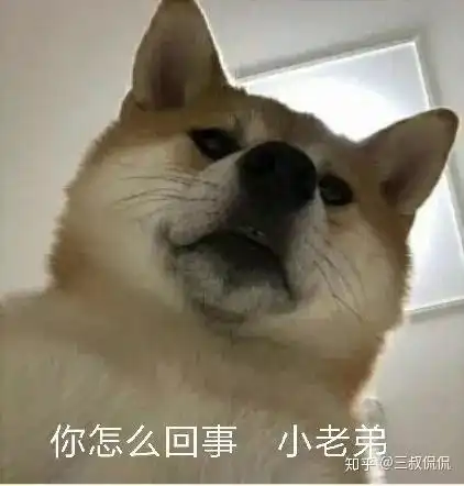  黄山搞砸了比犯错更可怕的,是甩锅给游客的猪队友