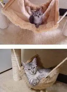  最新幽默笑话大全,搞笑段子大全,搞笑动态图片大全第22542页别逗了笑话网